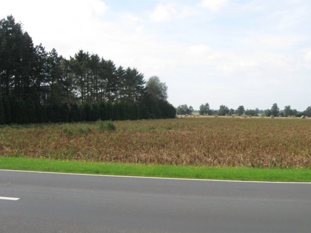 img_4901.jpg