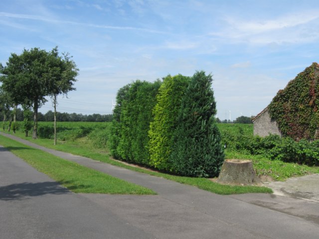 img_4917.jpg