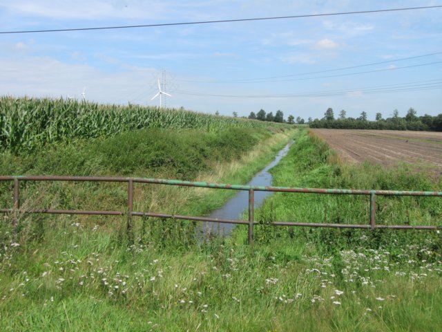 img_4918.jpg