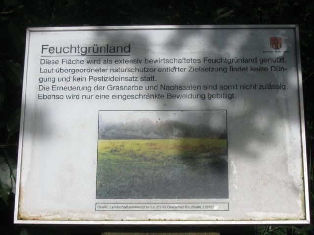 img_4926.jpg
