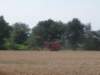 img_4930_small.jpg