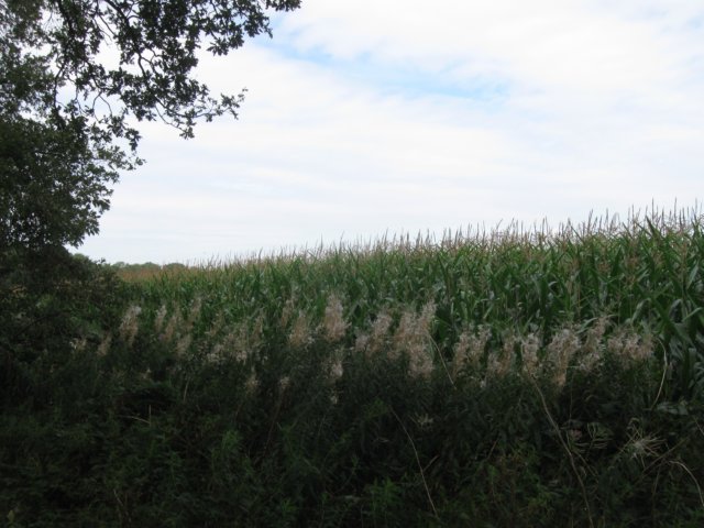 img_4942.jpg