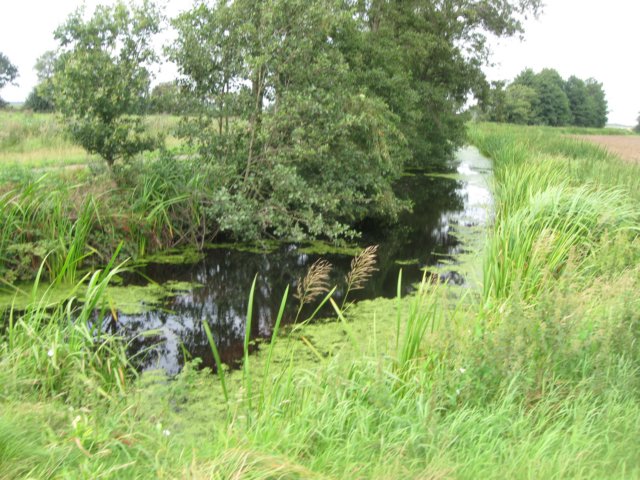 img_4948.jpg