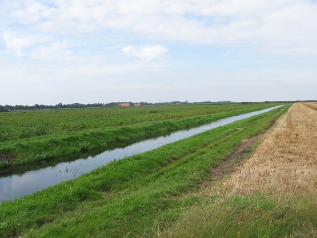 img_4951.jpg