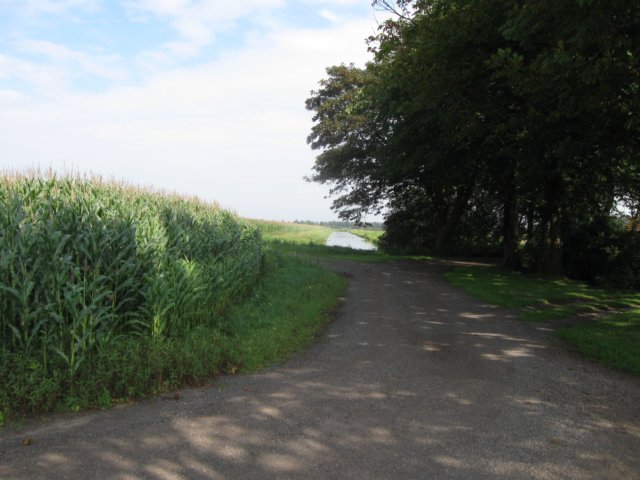 img_4953.jpg