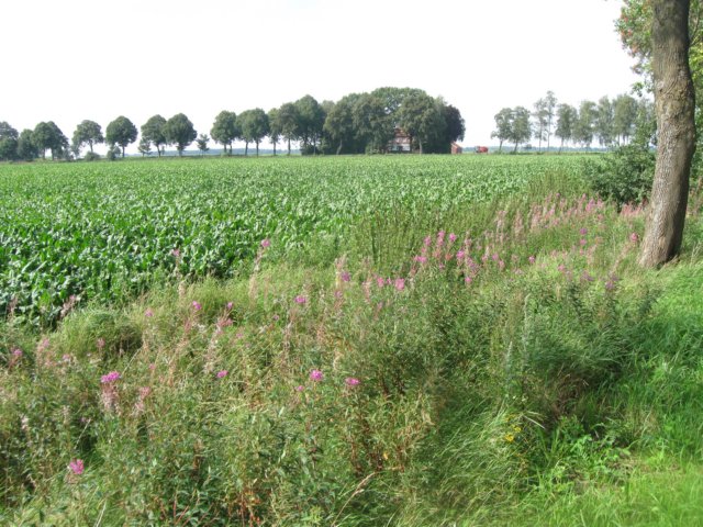 img_4954.jpg