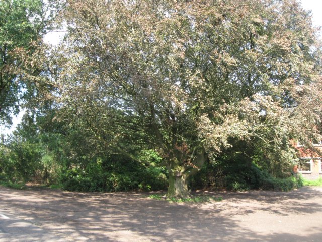 img_4959.jpg