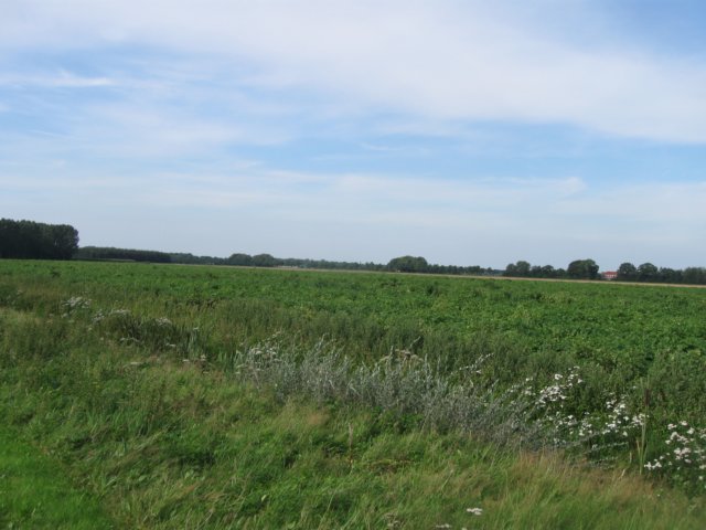 img_4964.jpg