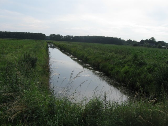 img_4969.jpg