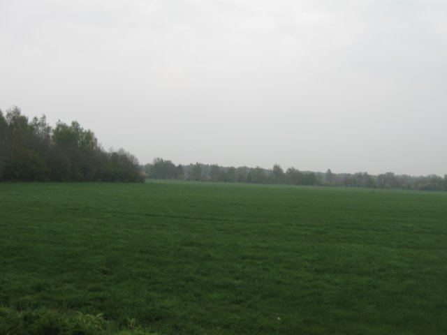 img_1990.jpg