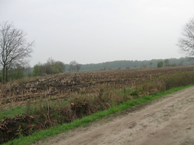 img_1992.jpg