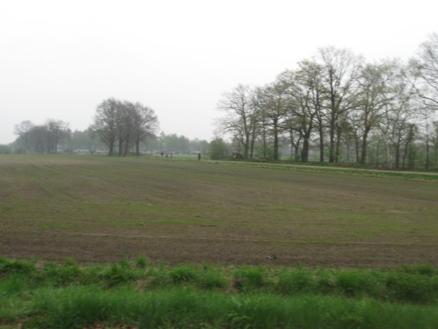 img_1995.jpg