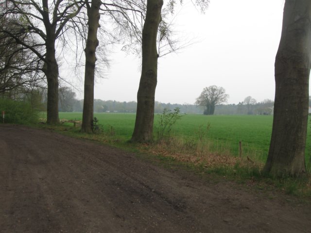 img_2000.jpg
