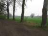 img_2000_small.jpg