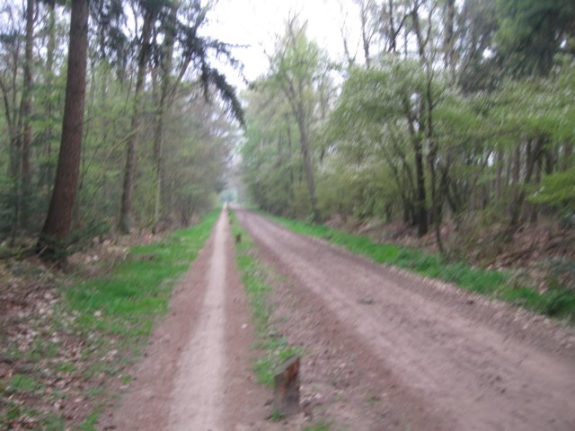 img_2003.jpg
