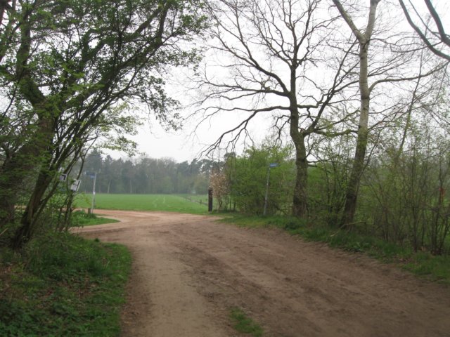 img_2004.jpg
