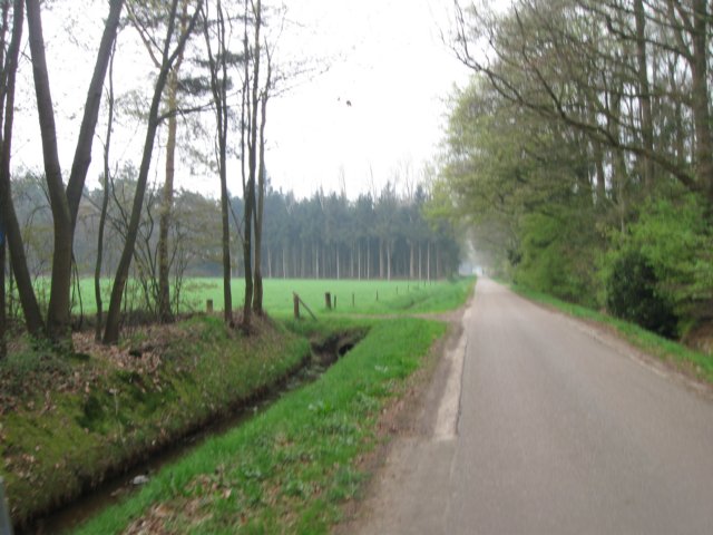 img_2006.jpg