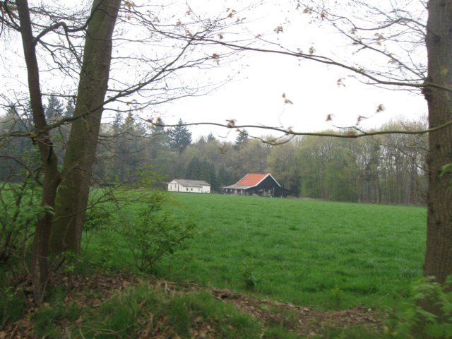 img_2009.jpg