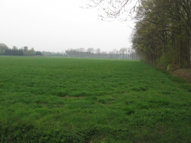 img_2010.jpg