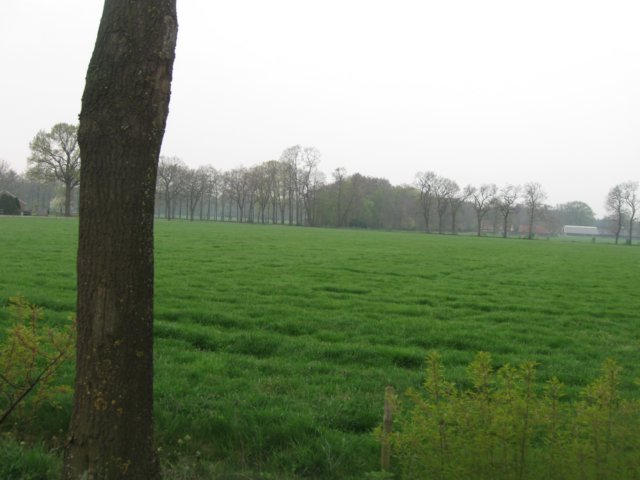 img_2011.jpg