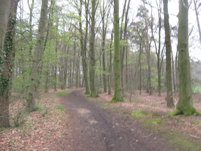 img_2019.jpg