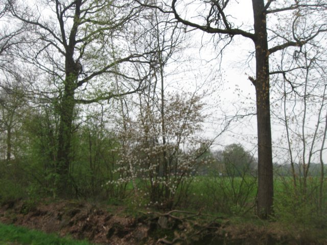 img_2025.jpg