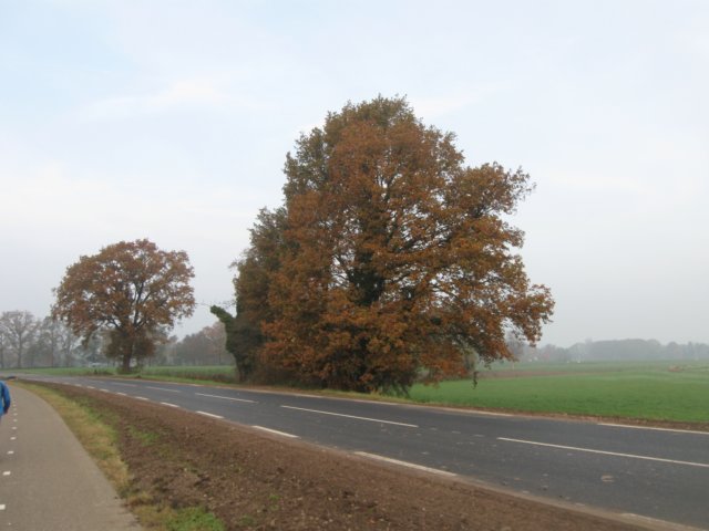 img_5821.jpg