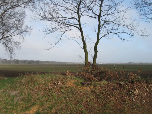 img_1505.jpg