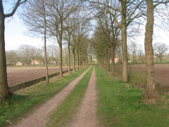 img_1515.jpg