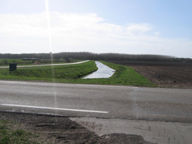 img_1667.jpg