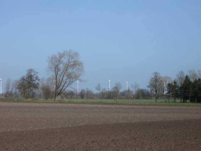 img_1671.jpg
