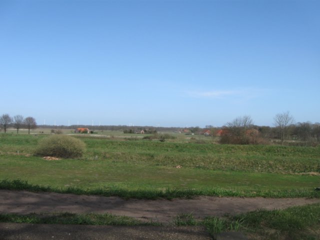 img_1703.jpg
