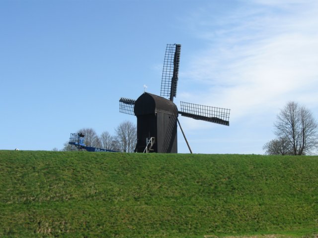 img_1736.jpg