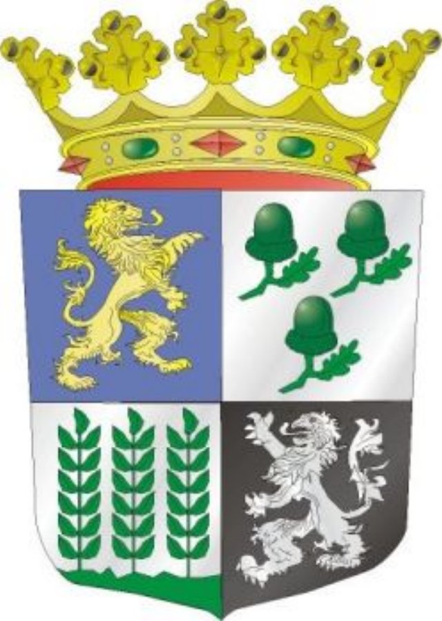 gemeentewapencastricumanno27augustus2003.jpg