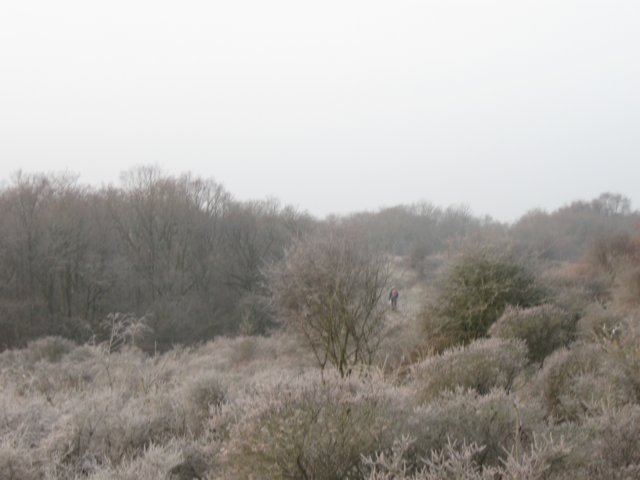 img_9597.jpg