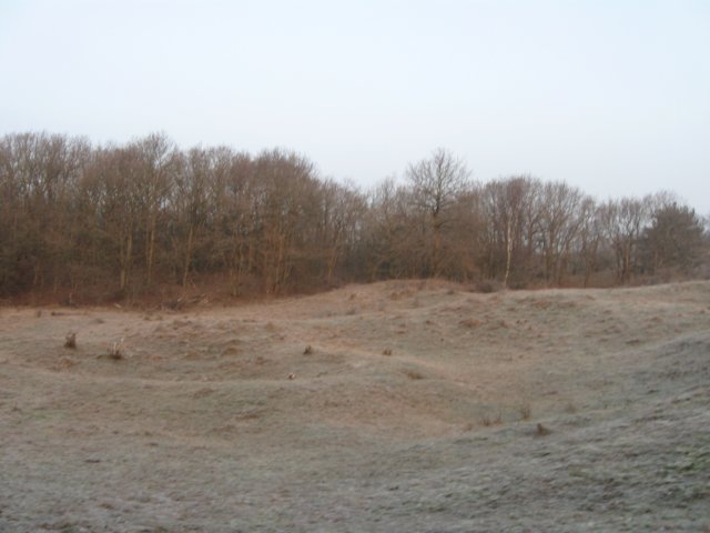 img_9598.jpg