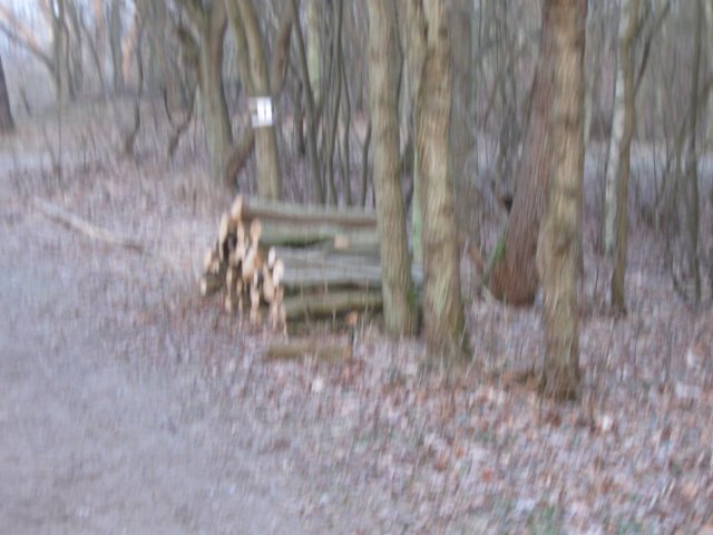 img_9599.jpg