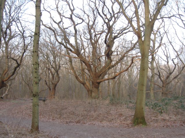 img_9606.jpg