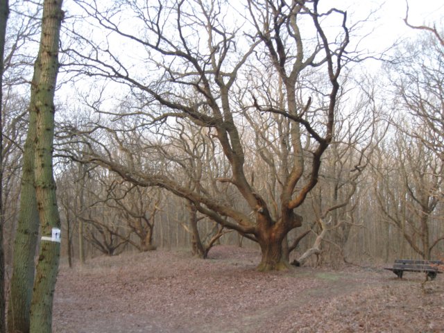 img_9607.jpg