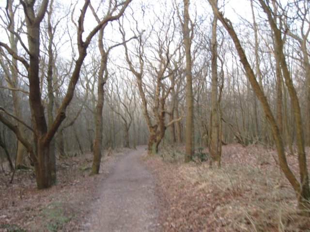 img_9608.jpg