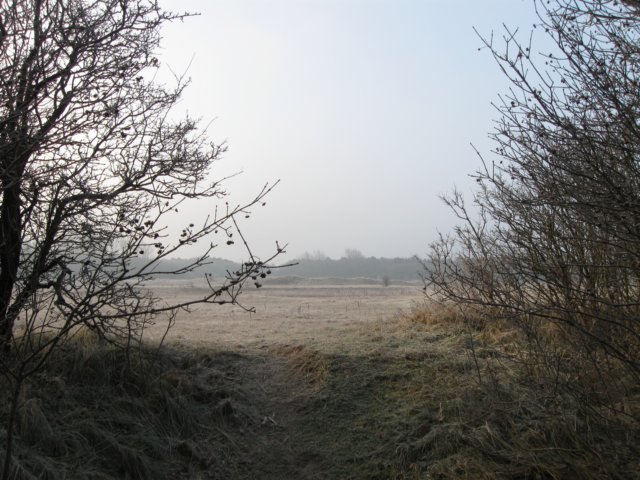 img_9612.jpg