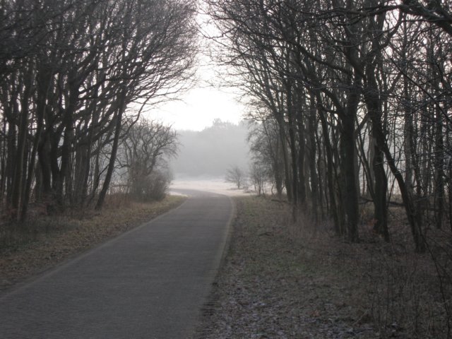 img_9613.jpg