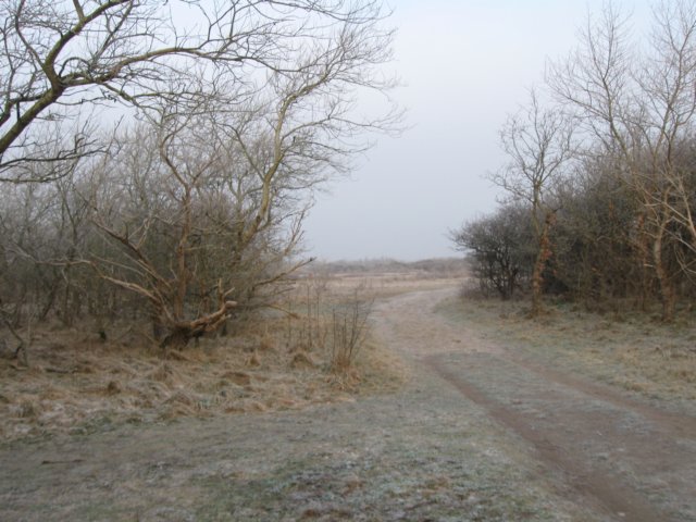 img_9615.jpg