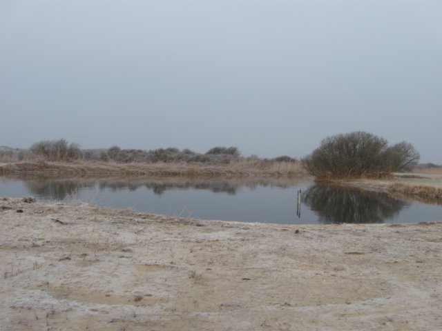 img_9617.jpg