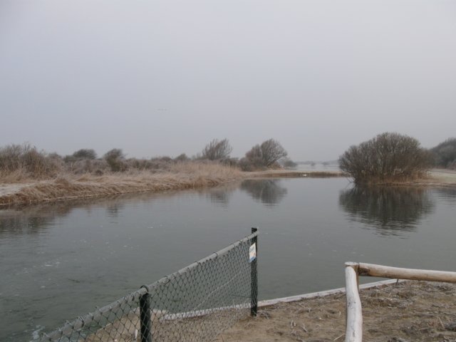 img_9620.jpg