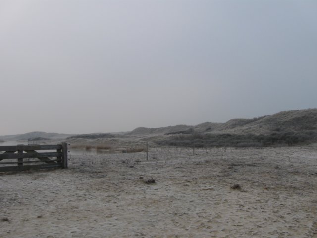 img_9624.jpg