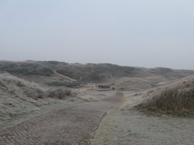 img_9626.jpg