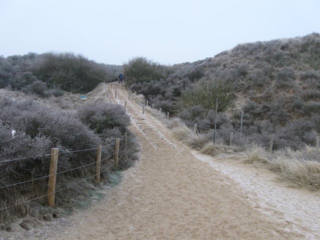img_9627.jpg