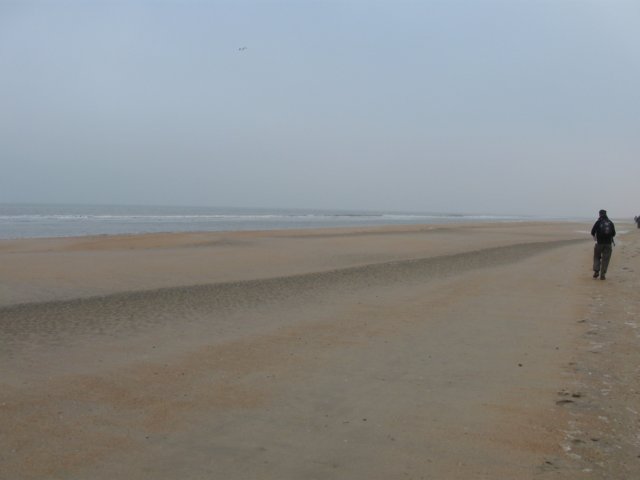 img_9630.jpg