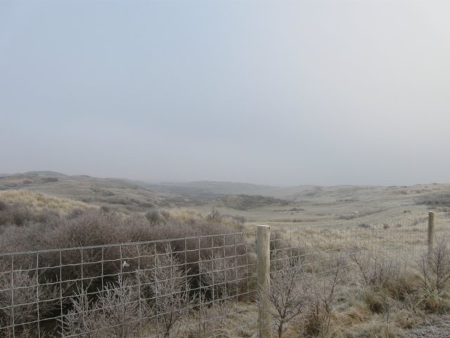 img_9638.jpg